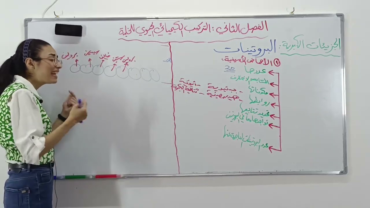 الأحماض الأمينية