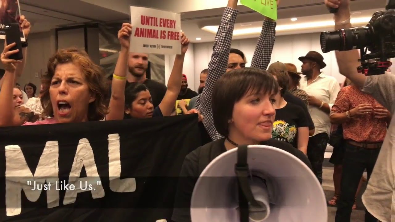 Protesters disrupt a pig roasting event in Washington D.C.