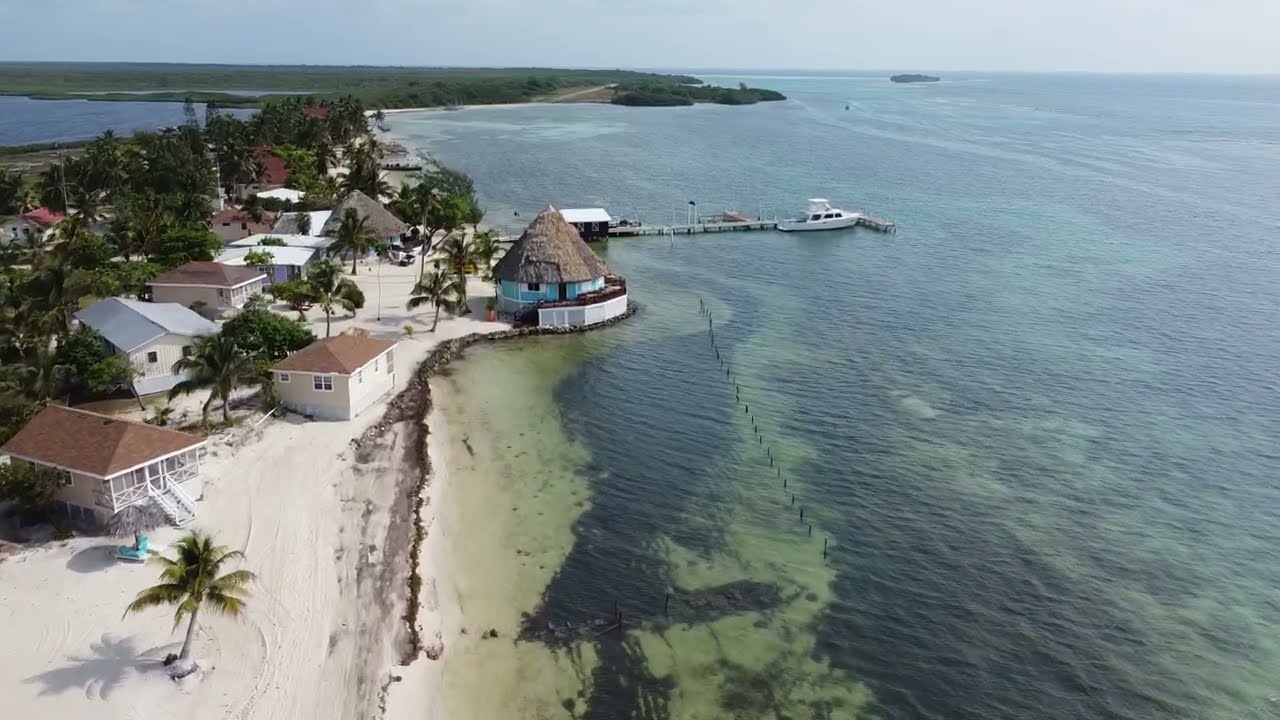 Blackbird Caye Resort