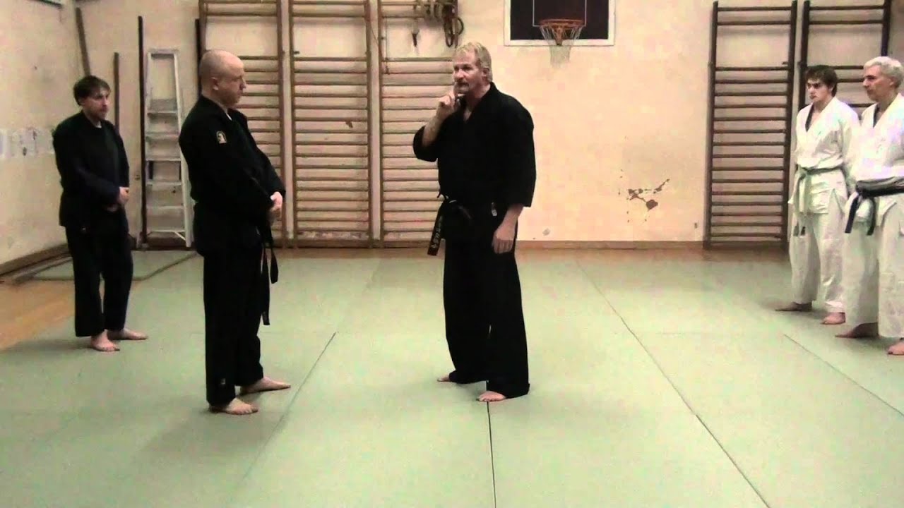 continuing the circle Kosho Shorei Ryu Kempo