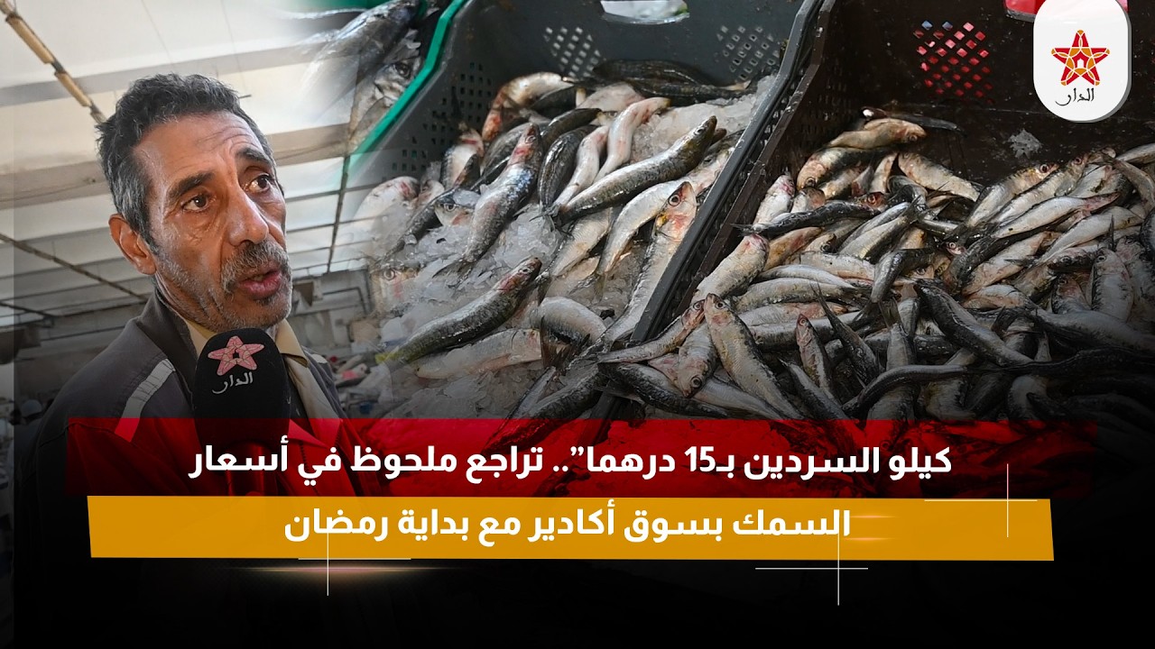 كيلو السردين بـ15 درهما”.. تراجع ملحوظ في أسعار السمك بسوق أكادير مع بداية رمضان