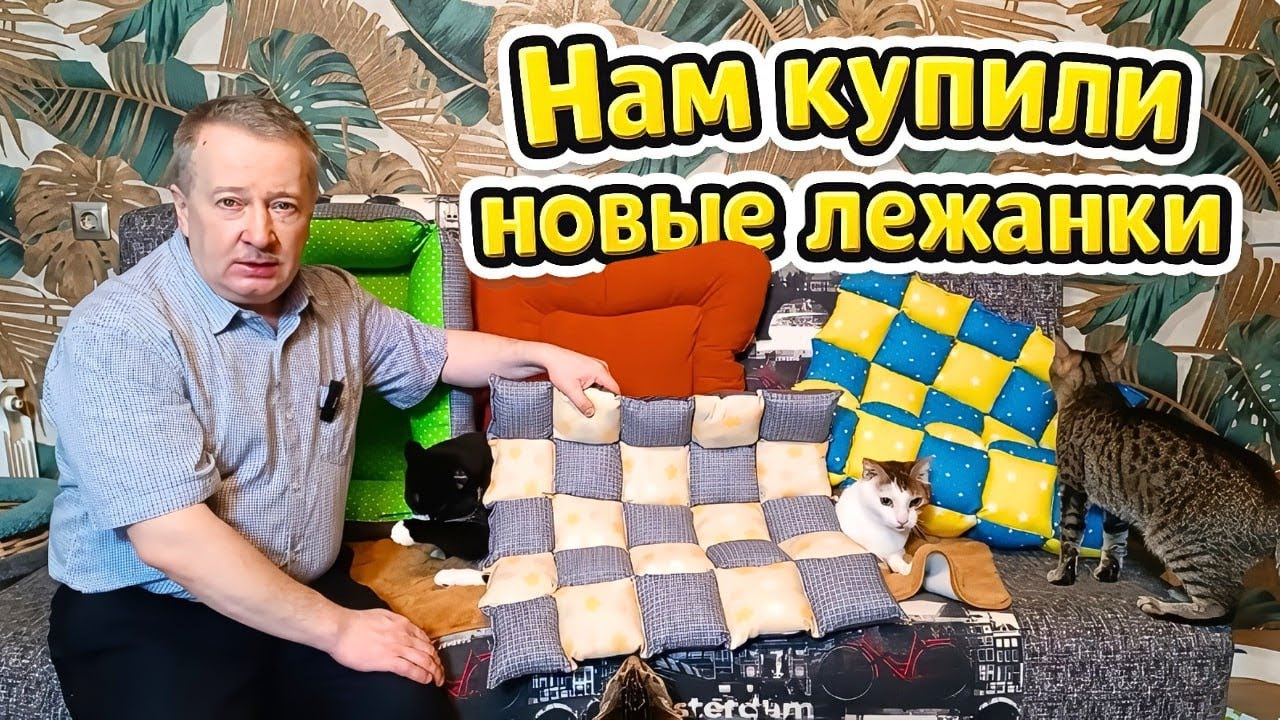 Нам купили новые лежанки. 