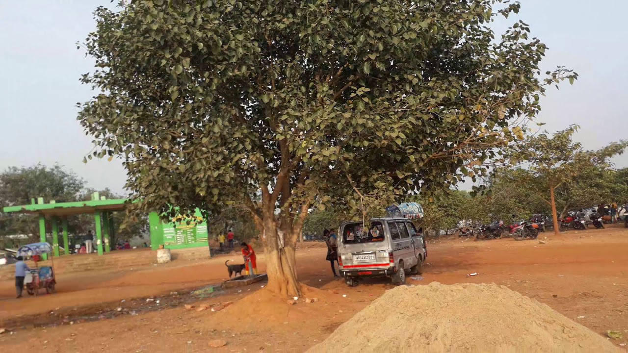 gongoni tourist spot