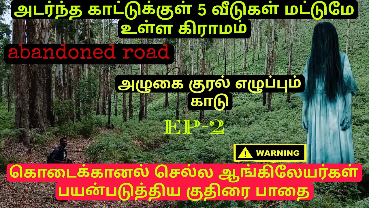அழுகை குரல் எழுப்பும் காடு|அடர்ந்த காட்டுக்குள் 5 வீடுகள் மட்டுமே உள்ள கிராமம்#Kodaikanal #bikeride