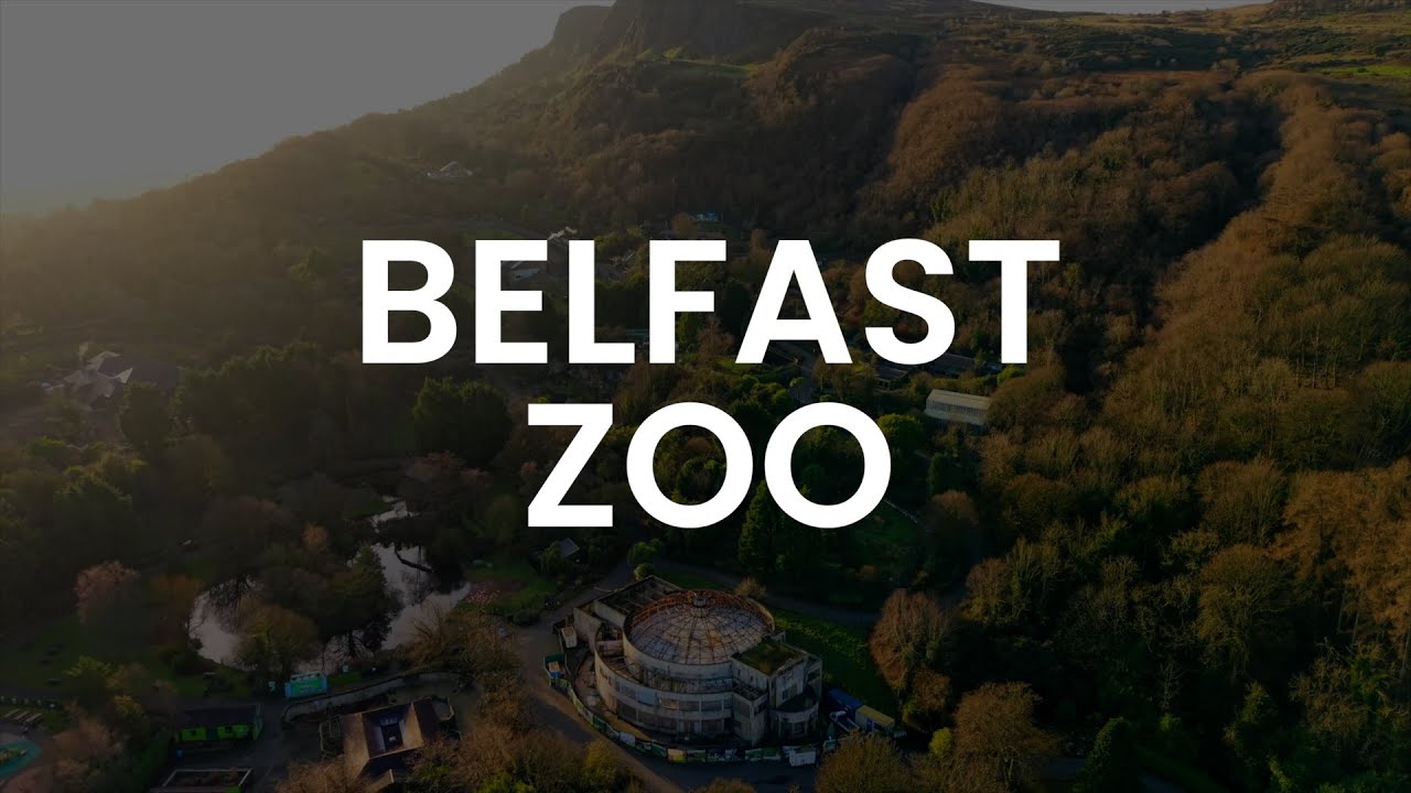 #BelfastZoo #Aerial Footage - 4K #60FPS #StockFootage