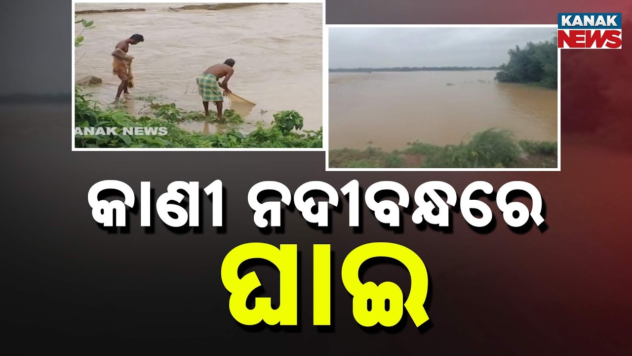 Jajpur Flood Update | Baitarani Breach Leaves 10 Panchayats Submerged, Villagers Await Relief