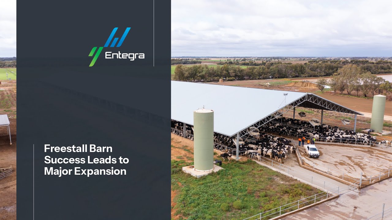 Freestall Barn Success Leads to Major Expansion | Calmo Farms