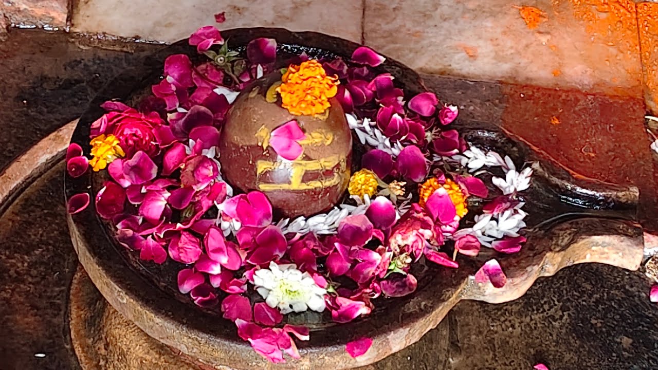 🌷श्री रासेश्वरी राधा के दासानुदास श्री शिव पुराण पाठ Day-77श्री श्रृंगार घाट मथुरा @Youtuberkapilmtr