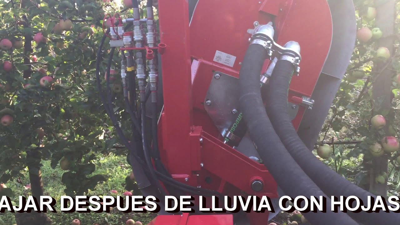 DESHOJADORA NEUMATICA PARA MANZANOS RED PULSE