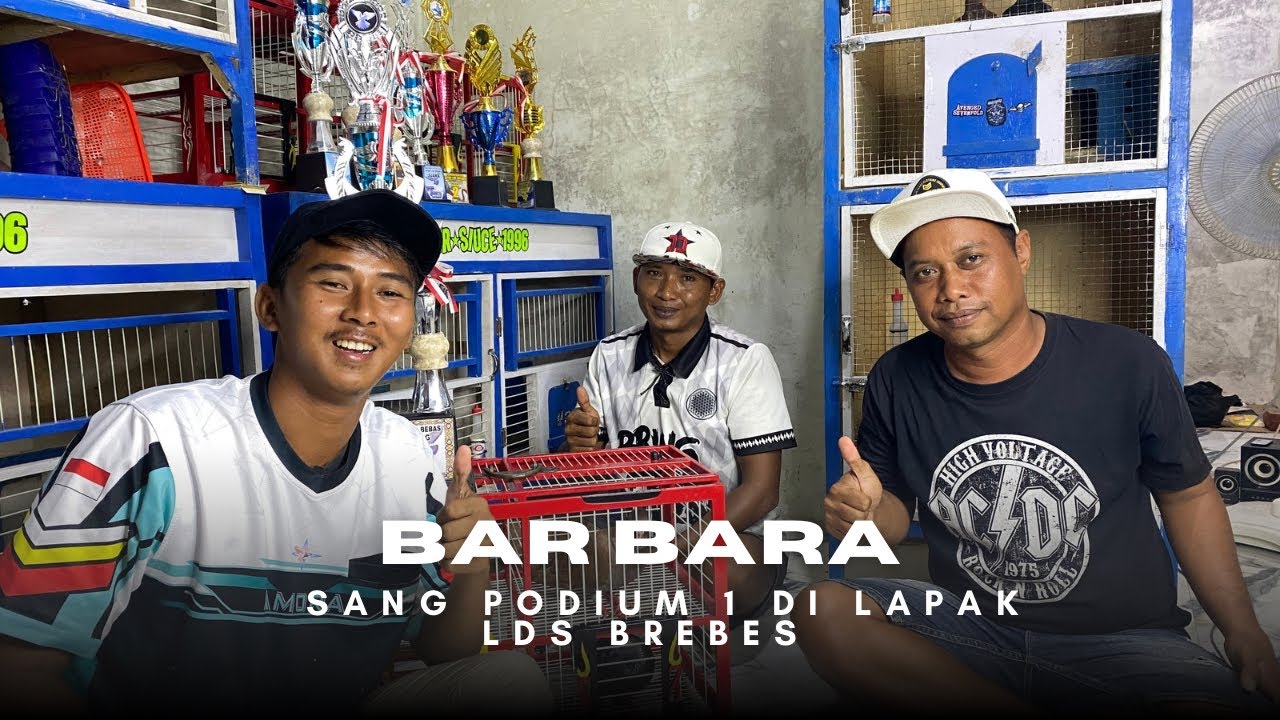 Bar bara Is Back!!!!