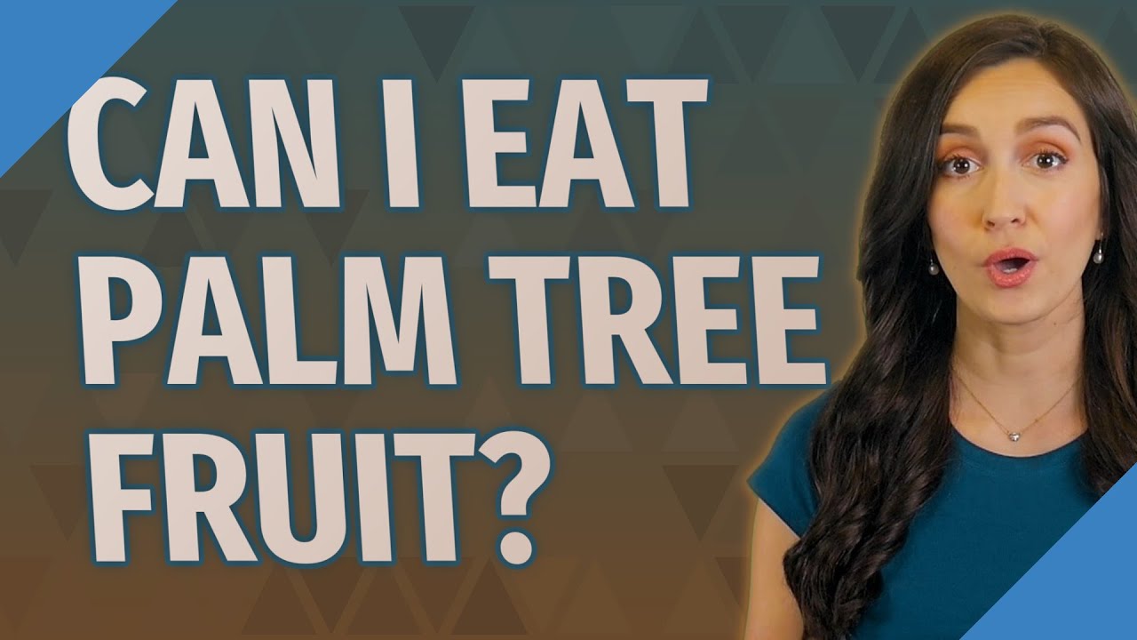 Can I eat palm tree fruit?