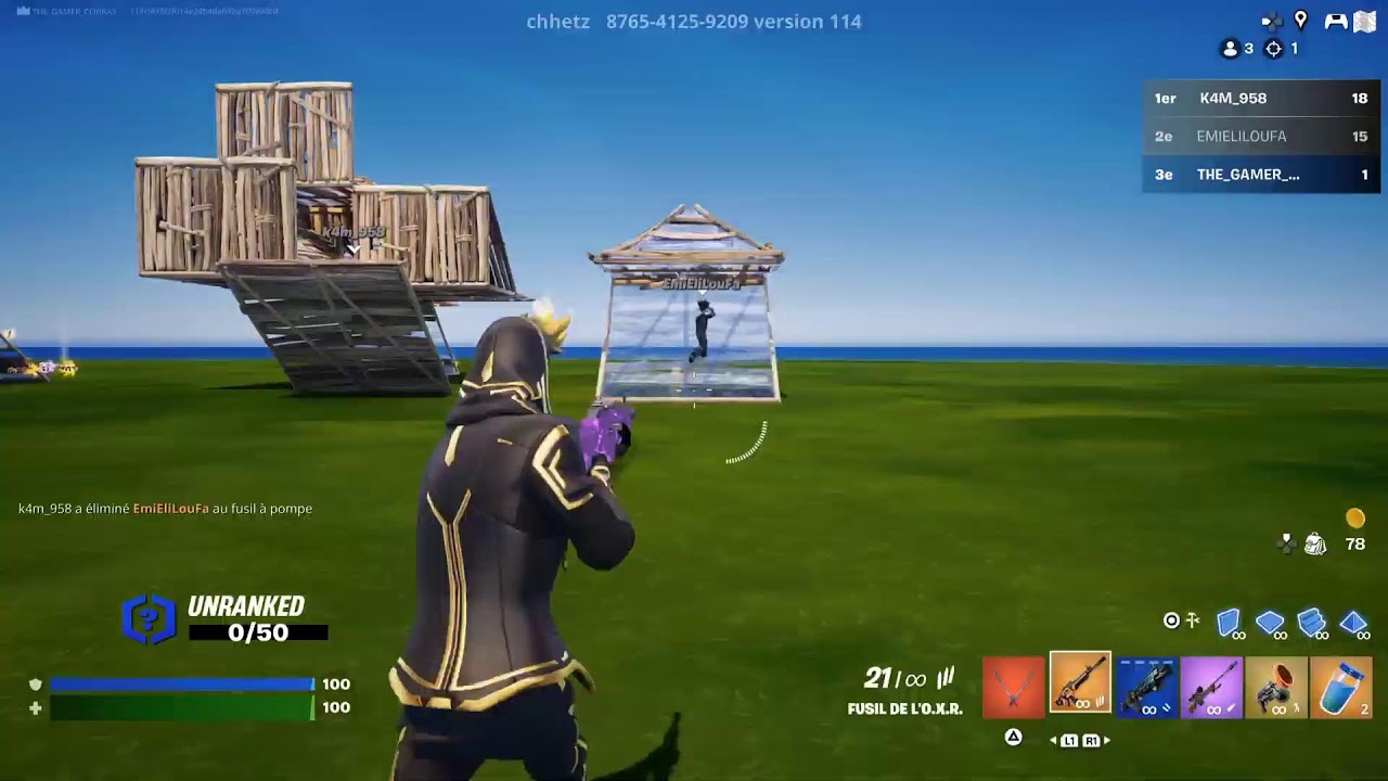 FORTNITE PROFITER