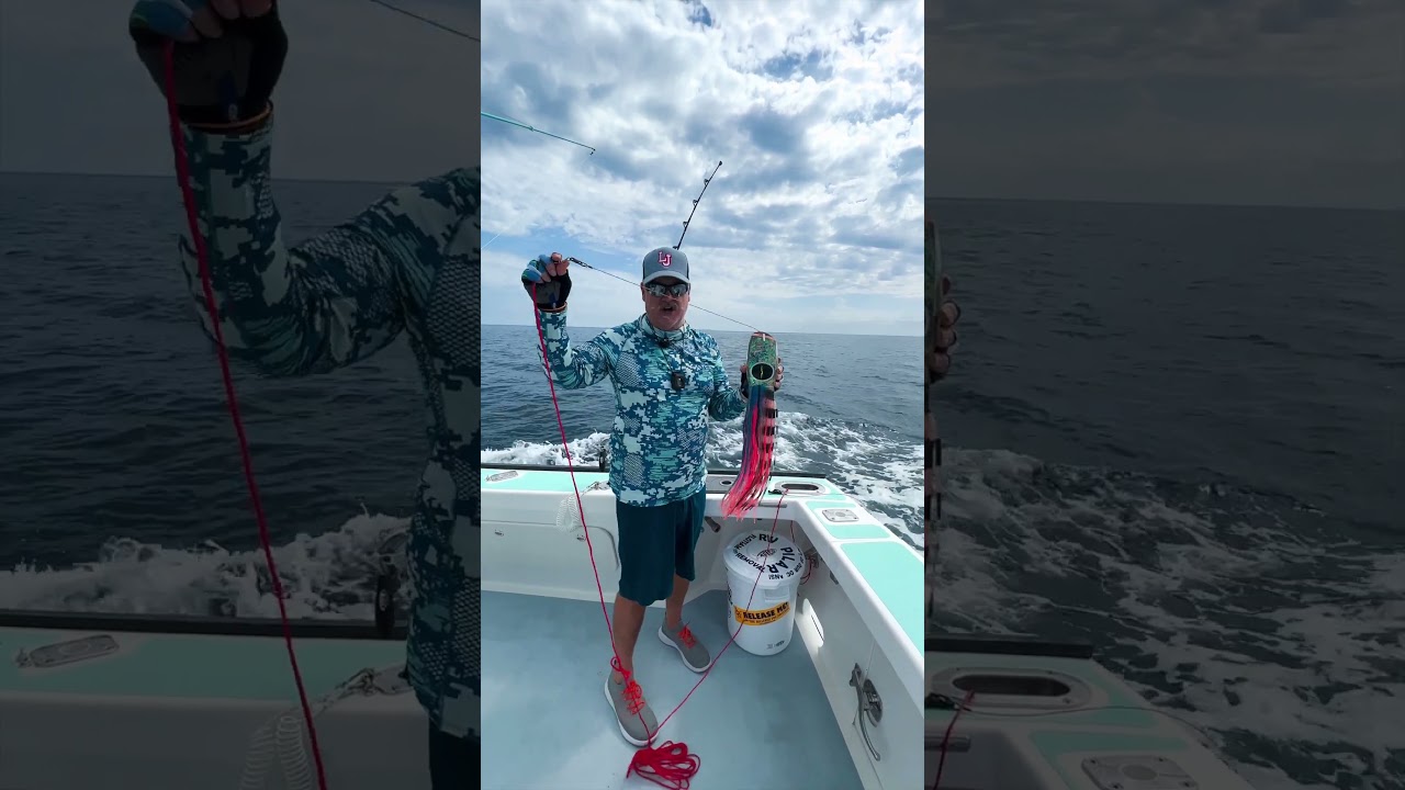 Tuna Teaser