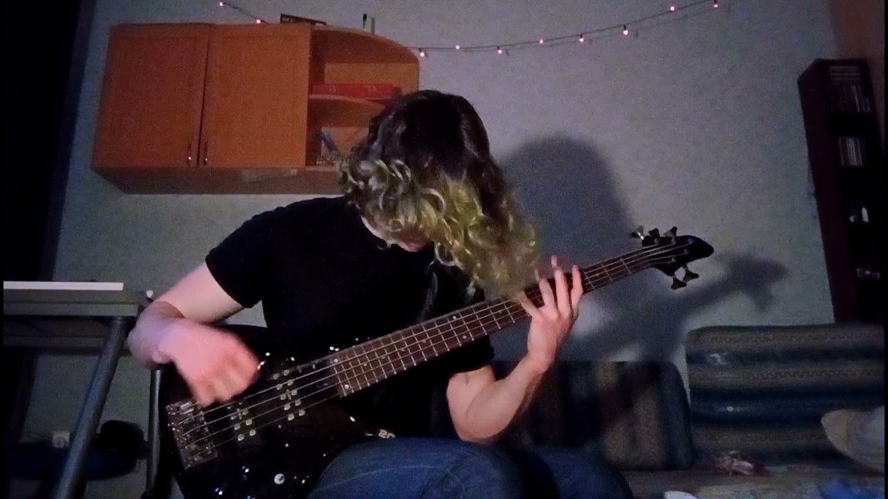 Heart of a Coward - Hollow (bass cover)