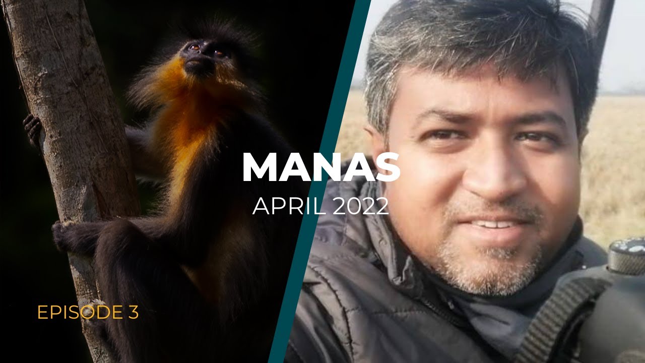 Manas Jungle Safari | Manas National Park in Assam | 4K Vlog in Hindi | Episode 3