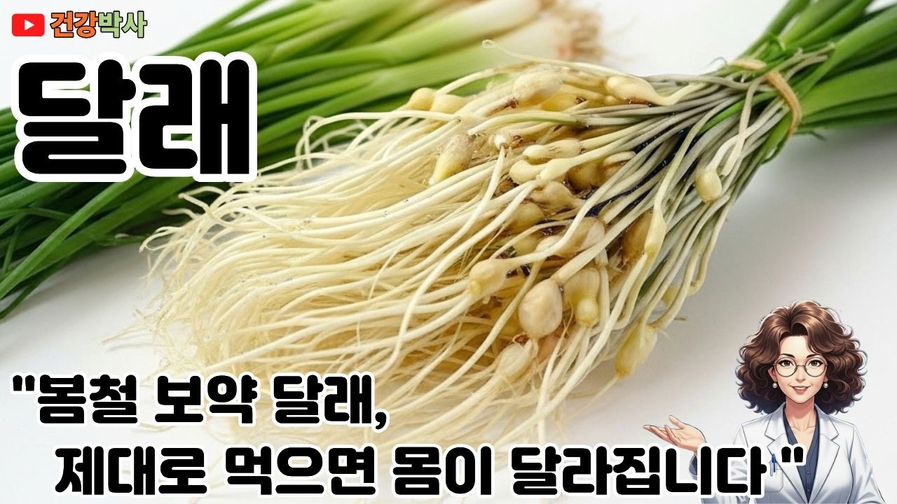 봄철 보약 달래, 제대로 먹으면 몸이 달라집니다 #달래 #달래효능 #봄나물