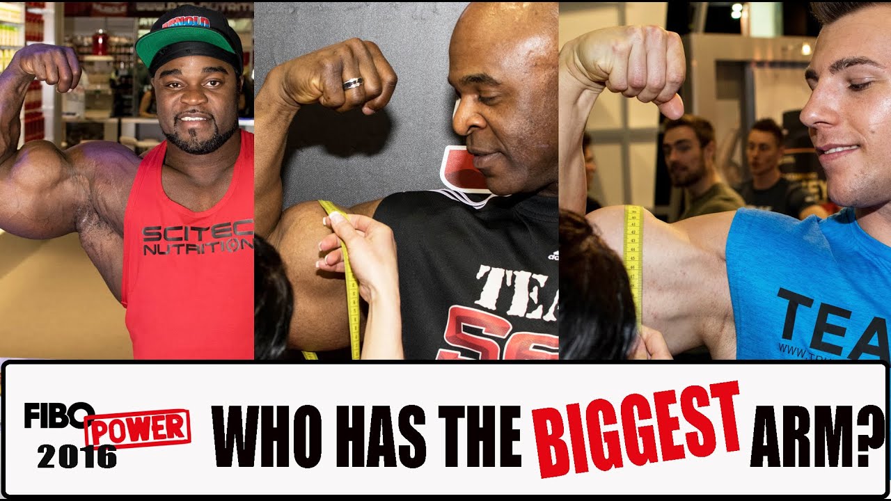 Who has the biggest arm at FIBO POWER 2016?