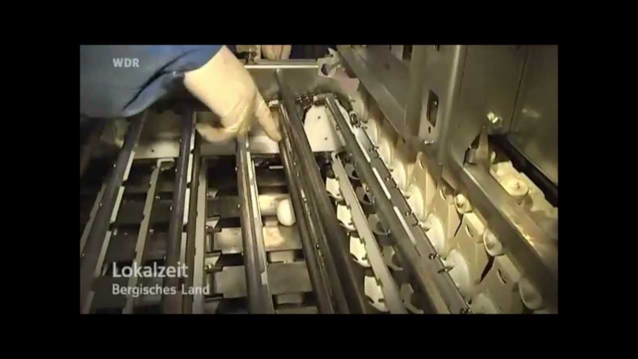 Lokalzeit Bergisches Land 11 05 2011 Eiersortiermaschine