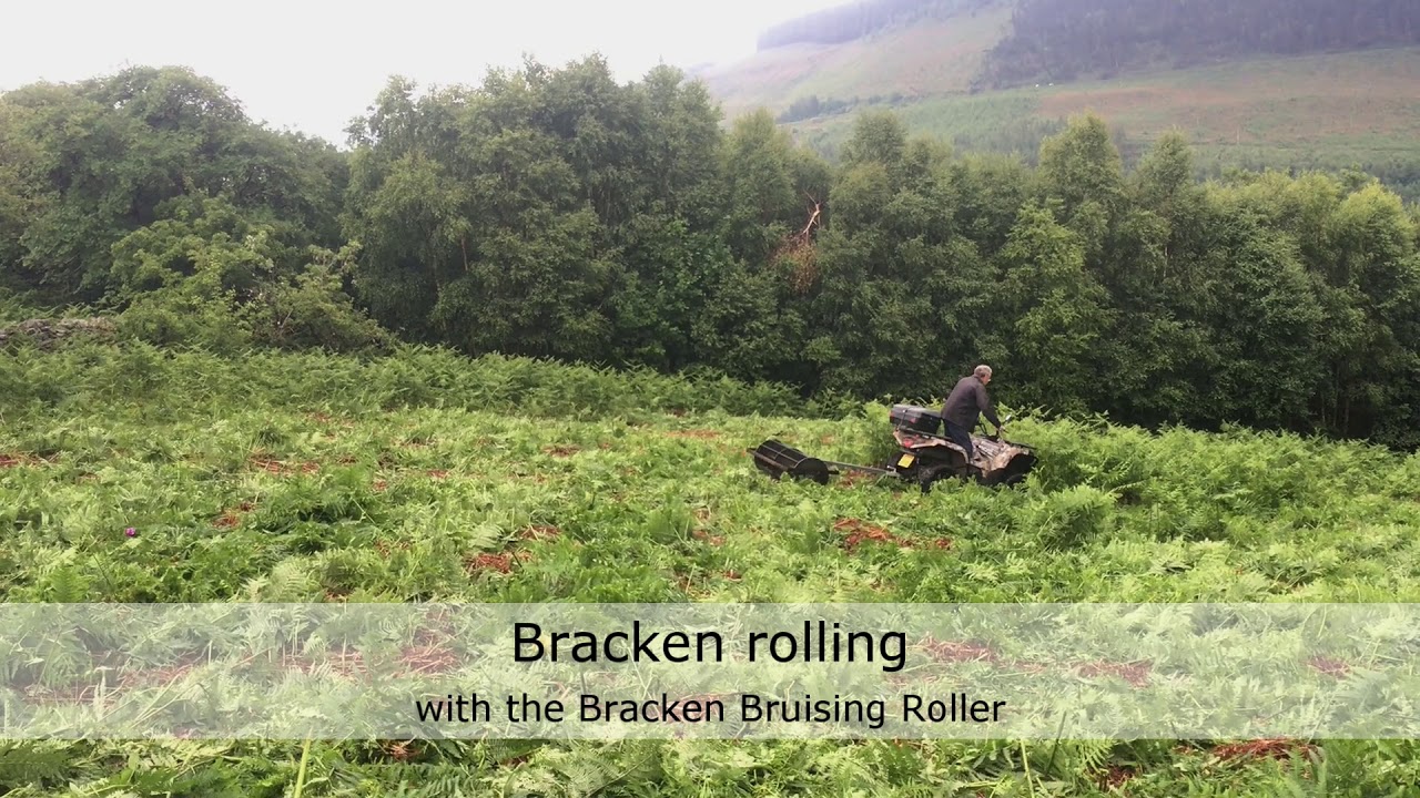 Bracken Rolling with the Bracken Bruising Roller