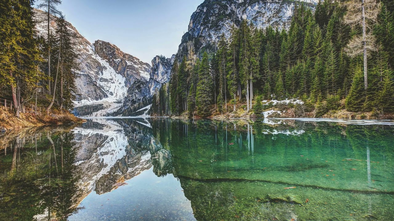 Serene Water Stream and Nature Sounds