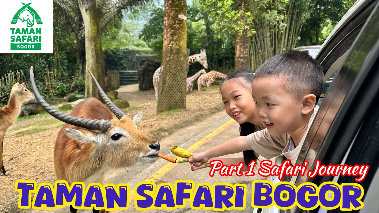 Taman Safari | Taman Safari Bogor