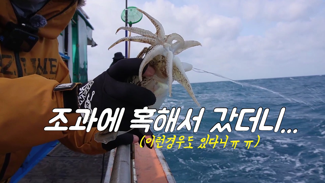 갑오징어낚시 조과에 혹해서 갔더니 역대급으로 이런일도 다 있네요 ㅋㅋㅋ
