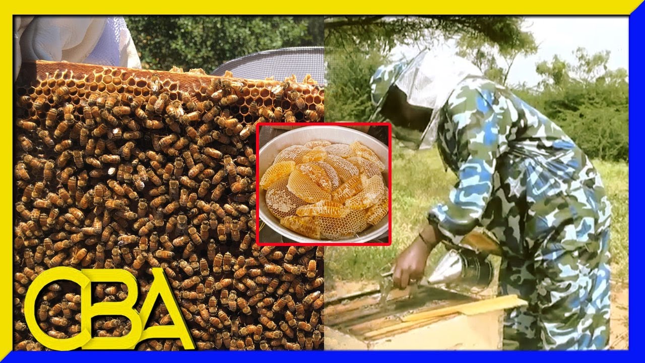 WARBIXIN:- Qaabkee Loo Soo Saaraa Malabka Shinidu Samayso?
