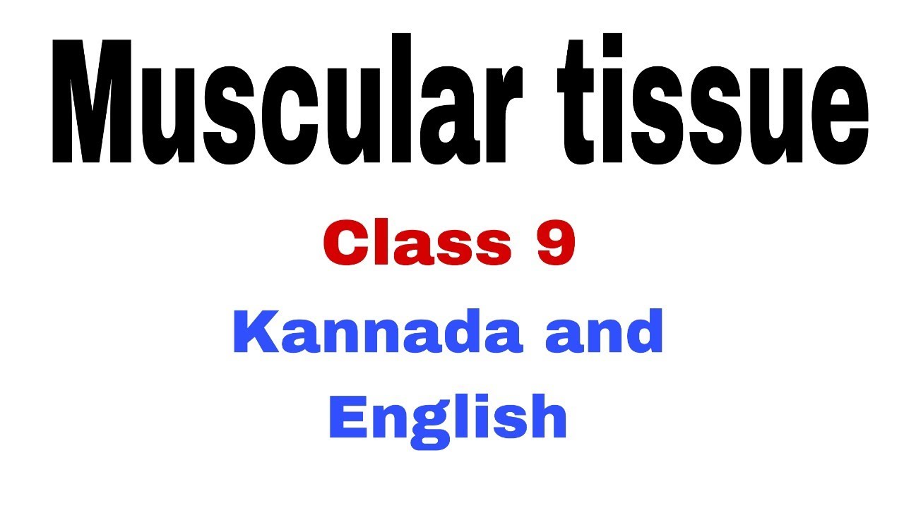 Muscular Tissue | Tissue | Class 9 | Kannada and English