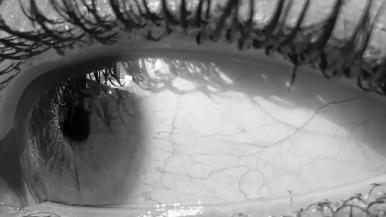 Observational Film - Oneness
