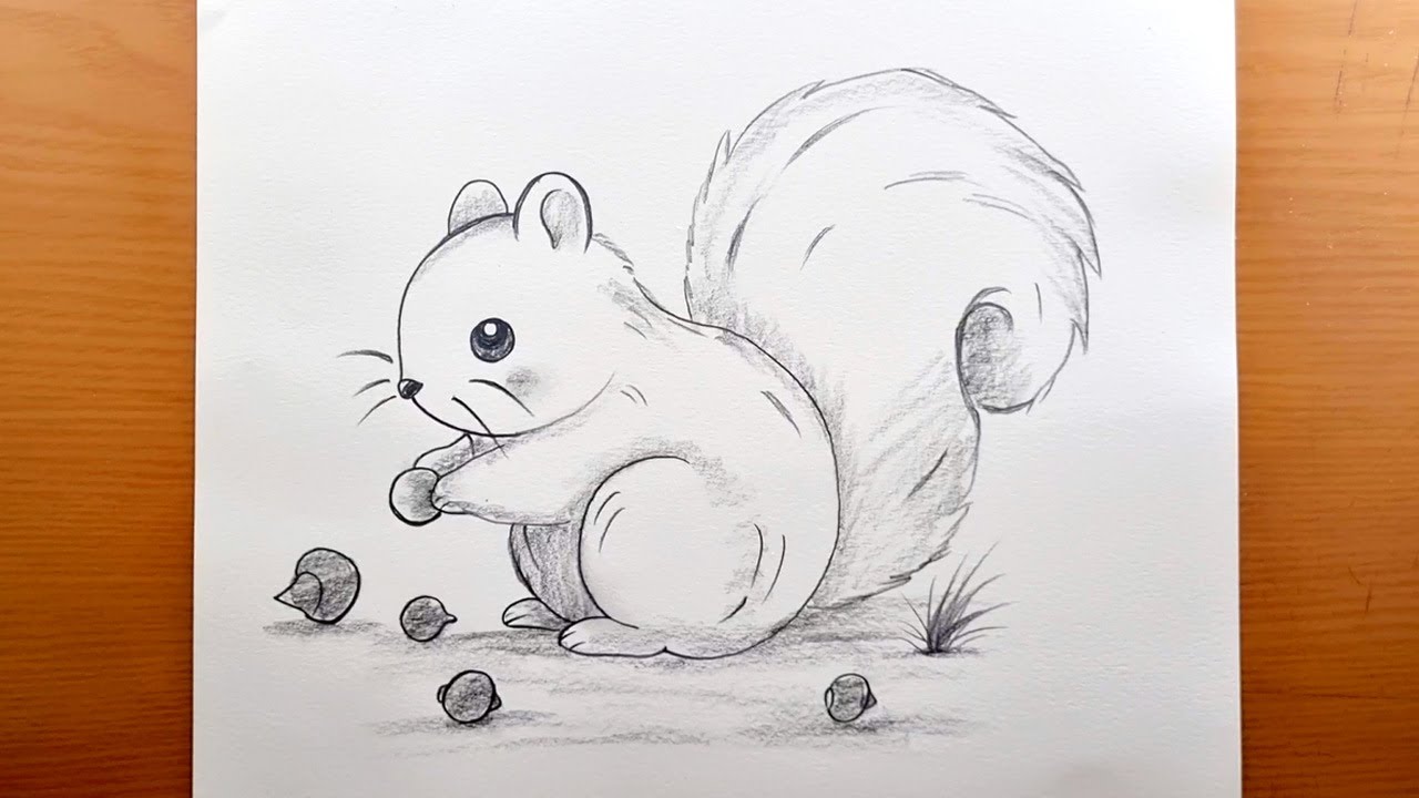 Come disegnare uno scoiattolo carino passo dopo passo | Idee per disegnare facilmente