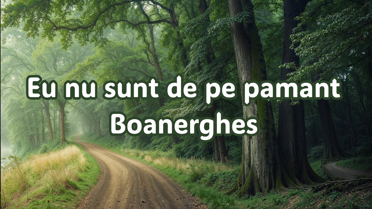 Eu nu sunt de pe pamant - grupul Boanerghes Paris
