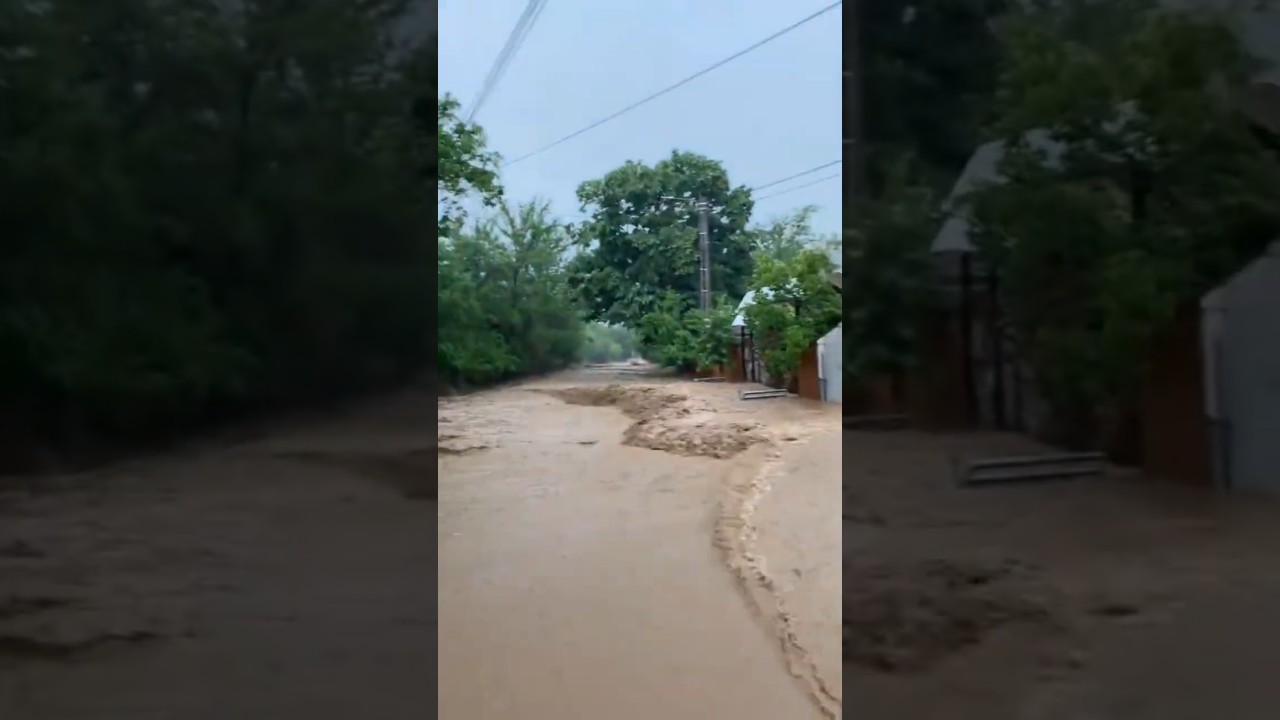 🌊😱 The most Terrifying Floods video recorded #trending #floods #disaster #flooding #nature #viral