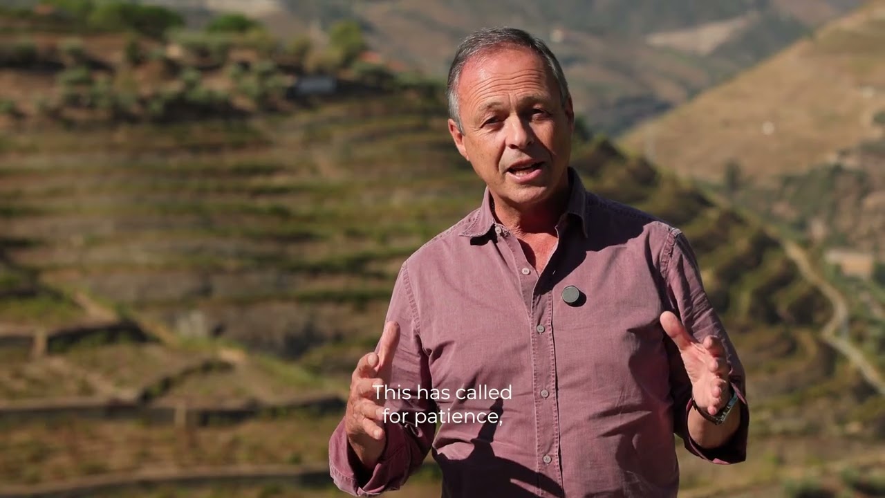 Sandeman | Harvest at Quinta do Seixo - 2025 - EN