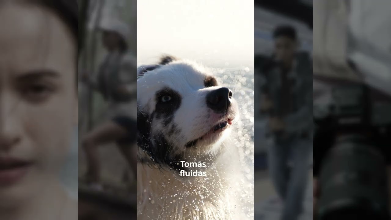 Experimenta la evolución de la quinta generación de la serie Alpha 7. 📸