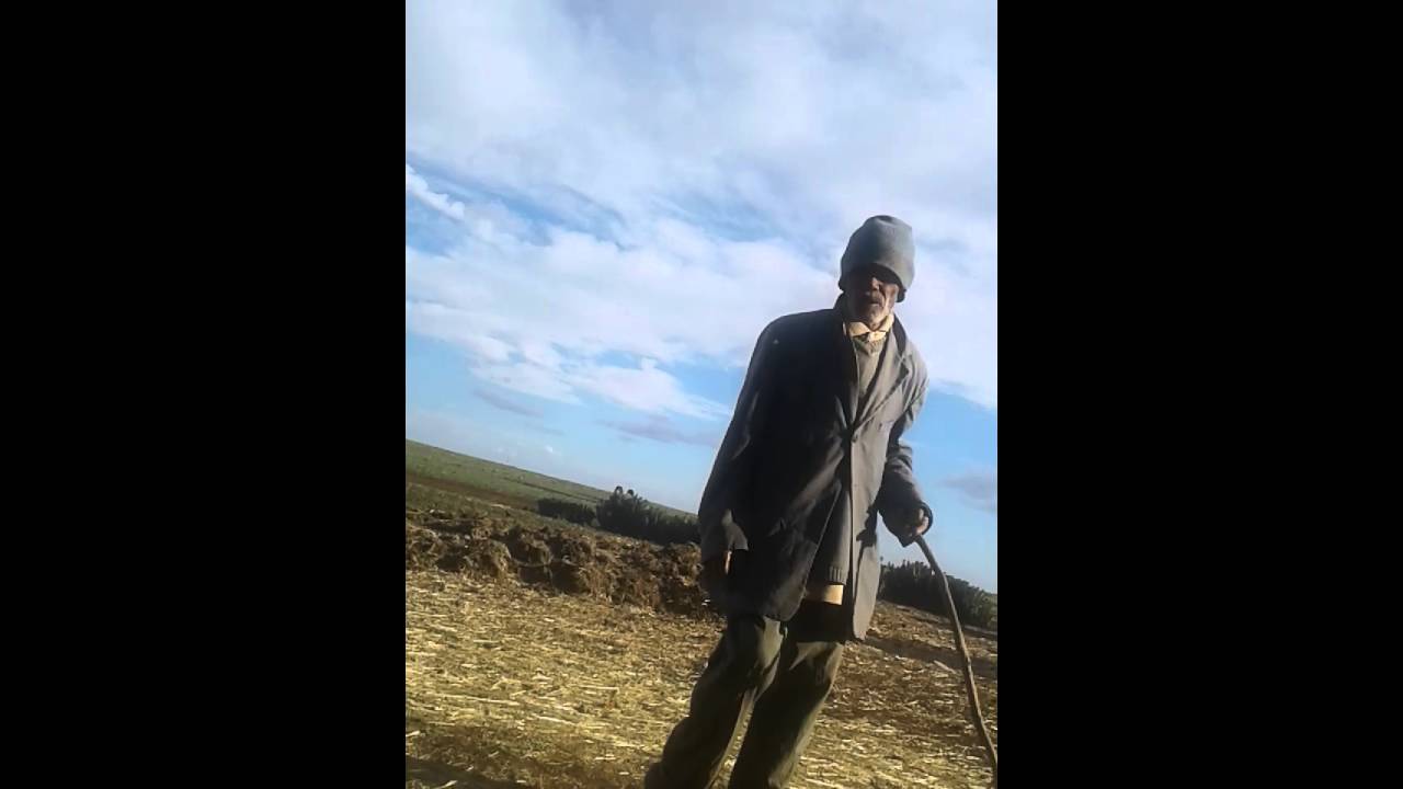 Mohamed nofis mzora