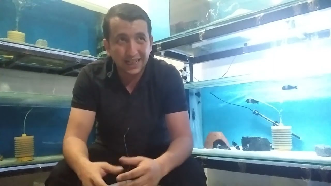 Üretim Hane Açılır mı#2023