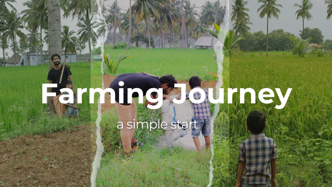 இருமடி பாத்தி முறையில் காய்கறி வளர்ப்பு! Here's How We're Doing It