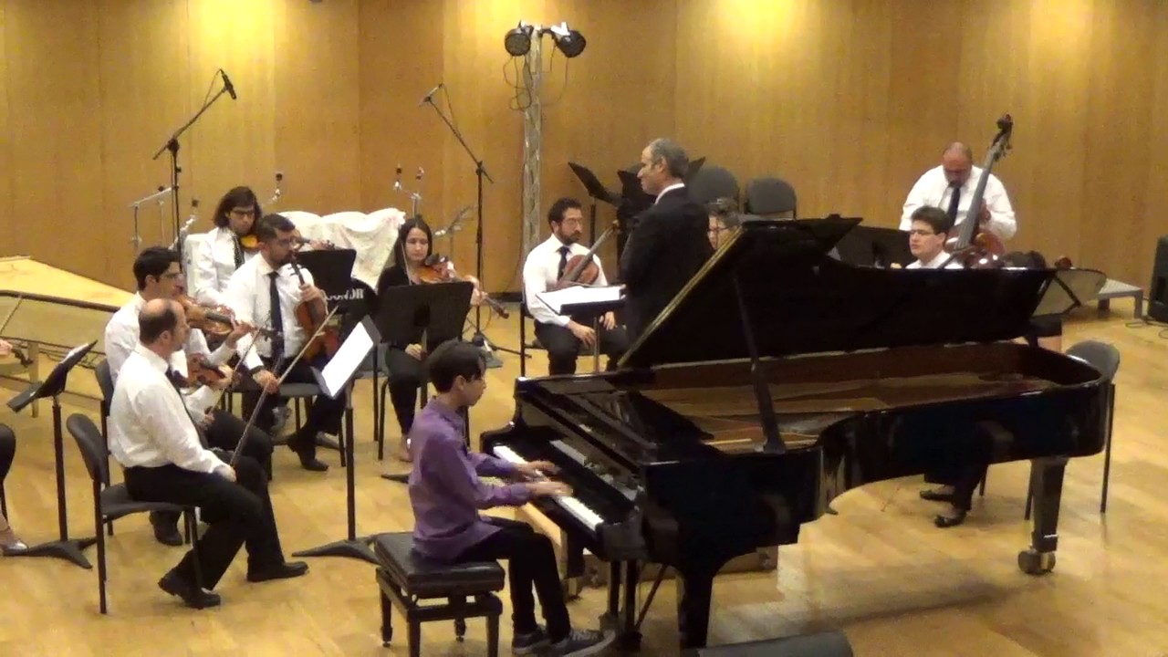 Haydn Concerto Hob. XVIII:11 in D Major Mov. 1