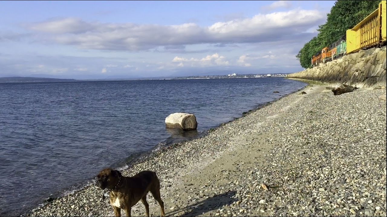Beautiful & Serene Seattle ASMR Sounds 1