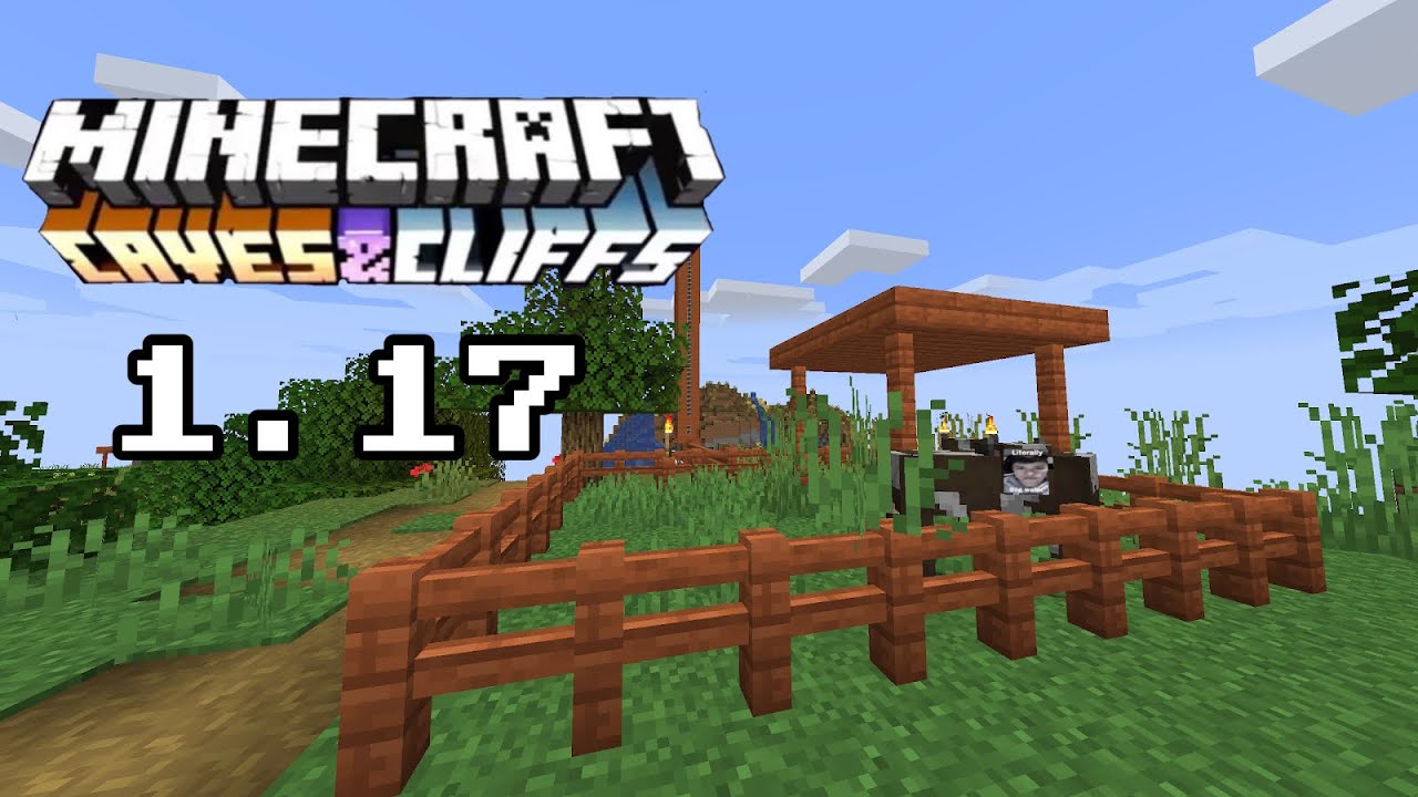 So I made a 1.17 Minecraft Server