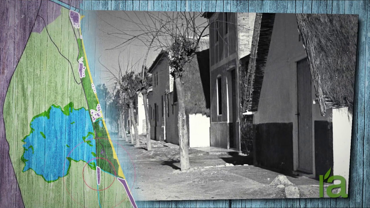 El Palmar (Valancià)