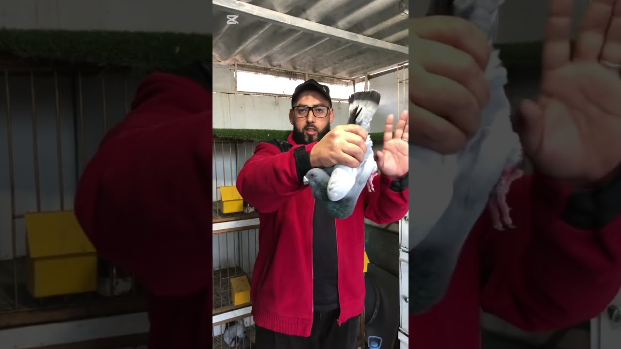 الجديد في عالم الخنينسي