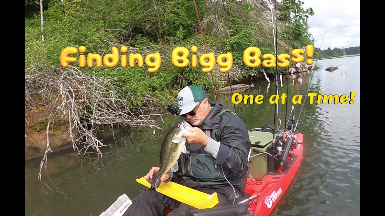 Lacamas Lake Wa. Big Bass For MY Season Long!