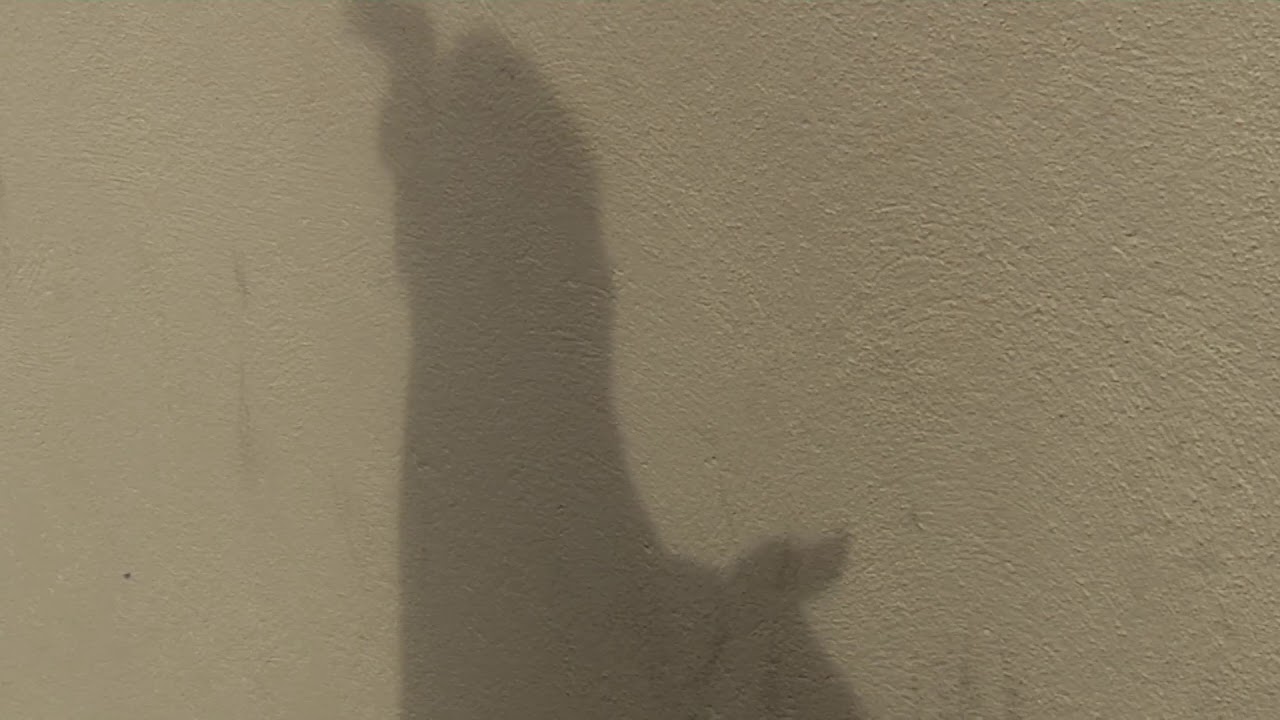 Prostituição no bairro: Planalto Paulista