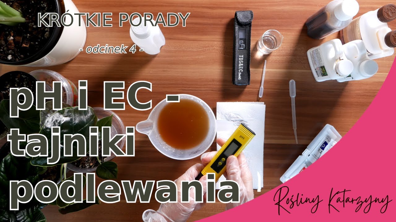 Tajniki podlewania, pomiary pH i EC, czyli jak osiągnąć roślinny sukces - Kr&oacute;tkie porady, odcinek 4
