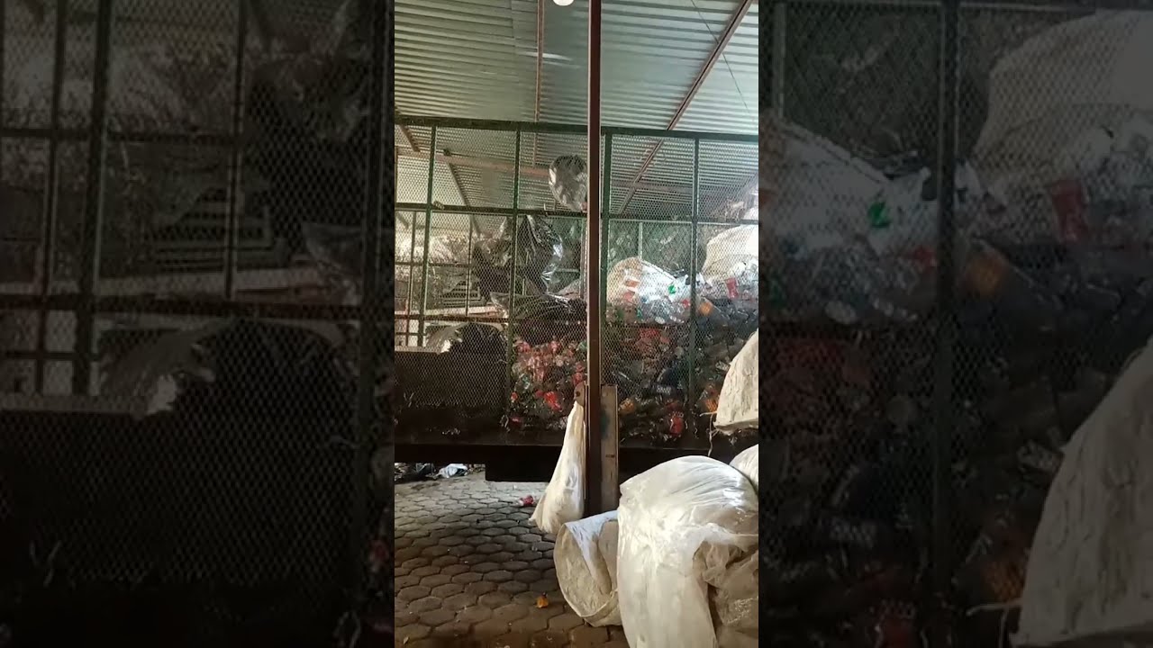 recicladora gova Pelusa está en vivo