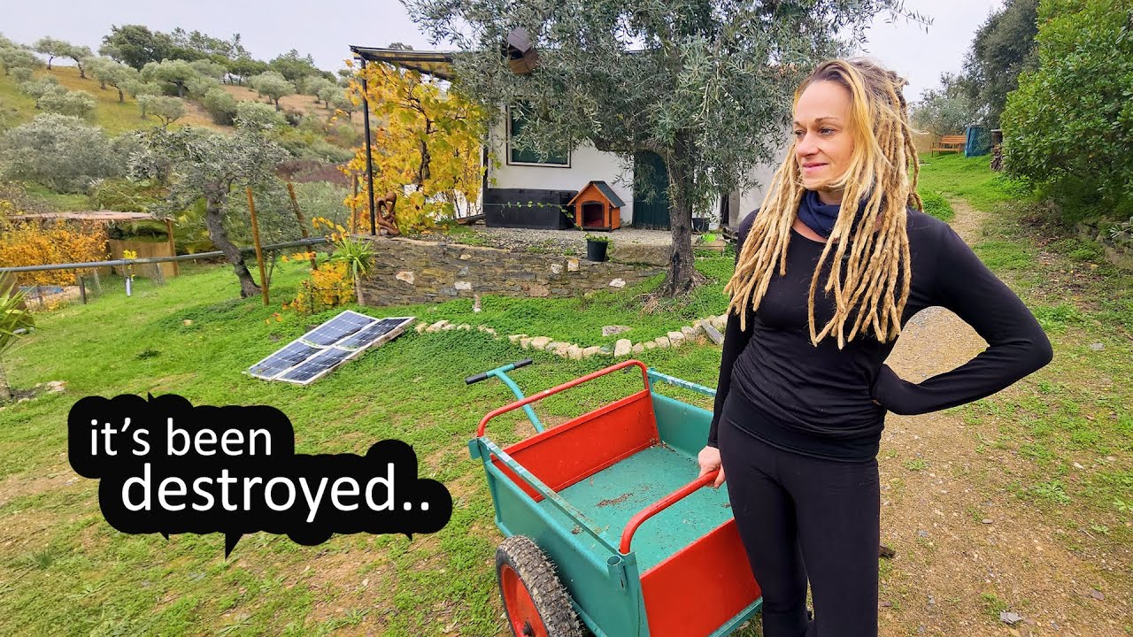WOW.. WHAT A SURPRISE (RETURN to our OFF GRID HOMESTEAD) - VAN LIFE SPAIN - PORTUGAL