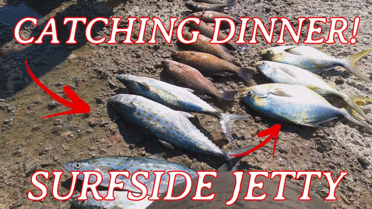 Рыбалка с причала на ВКУСНУЮ рыбу! *Причал Surfside*