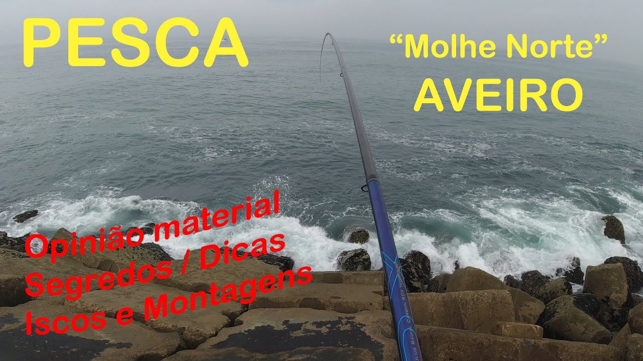 Pesca e Dicas aos Sargos no Molhe Norte-Aveiro