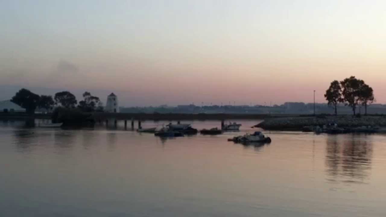 Alburrica